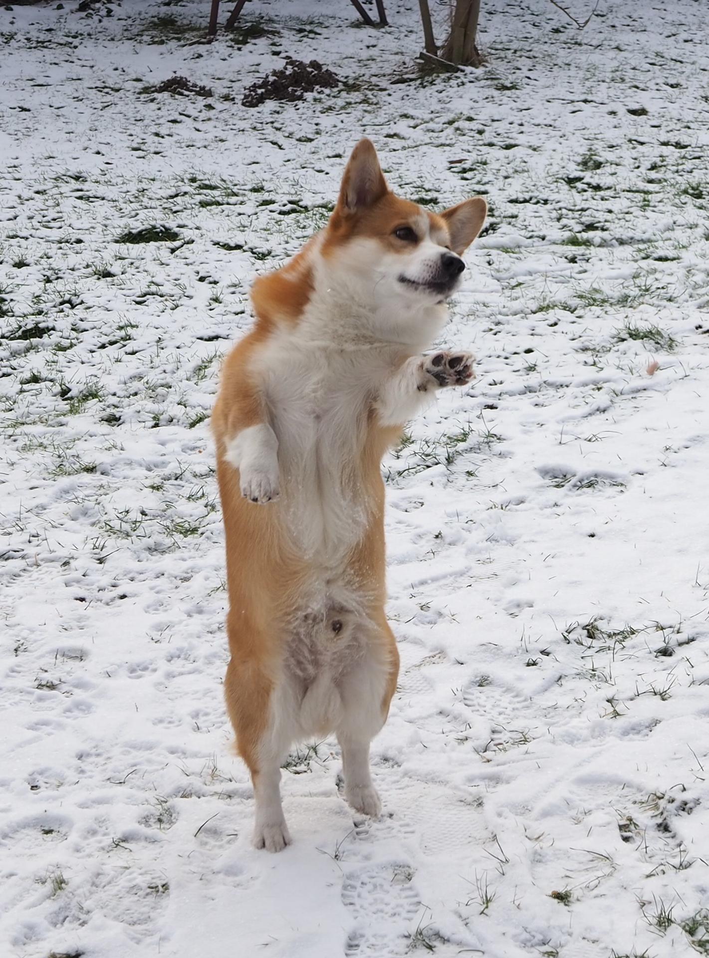 Zdjęcie 2