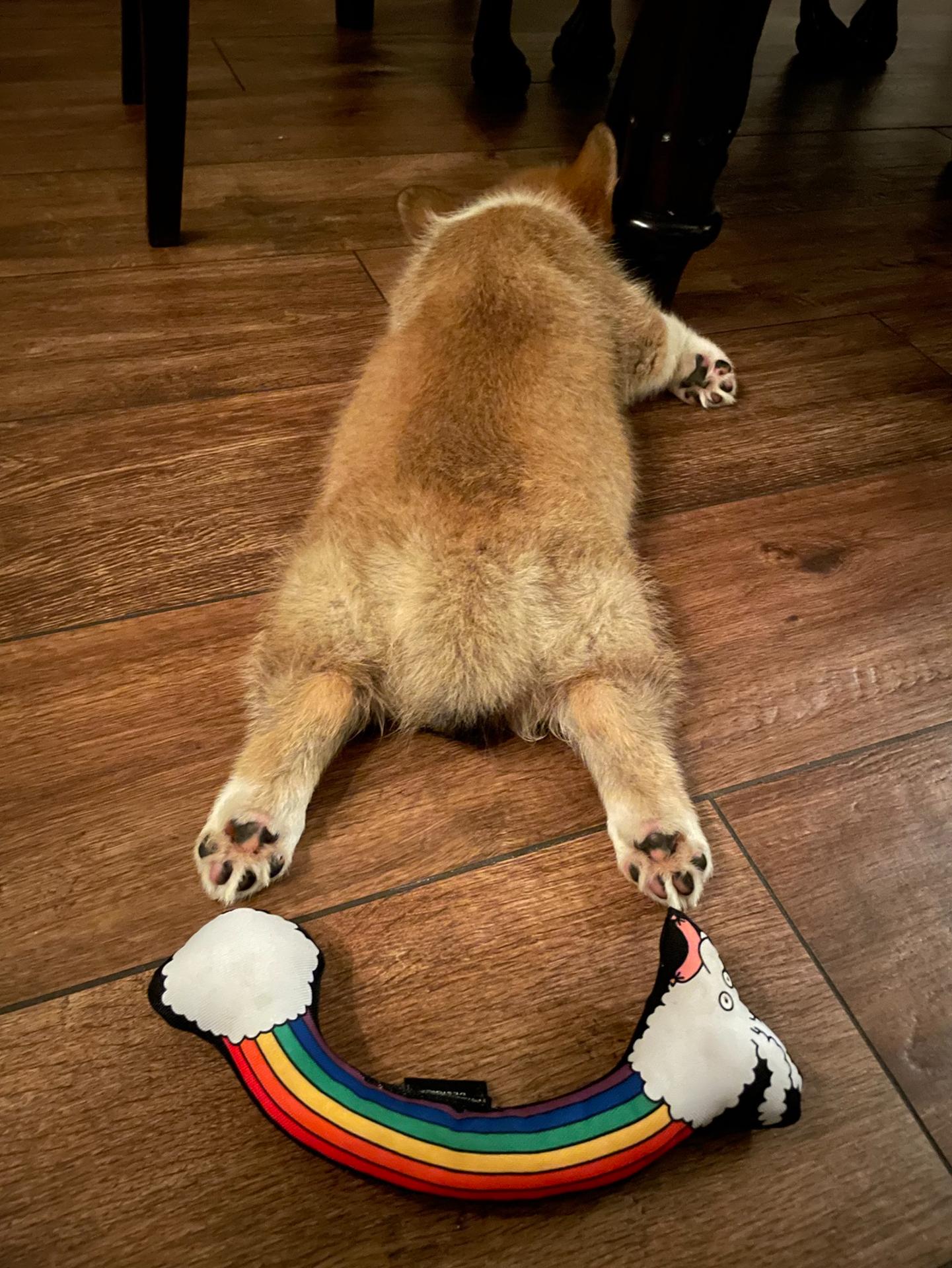 Zdjęcie 4