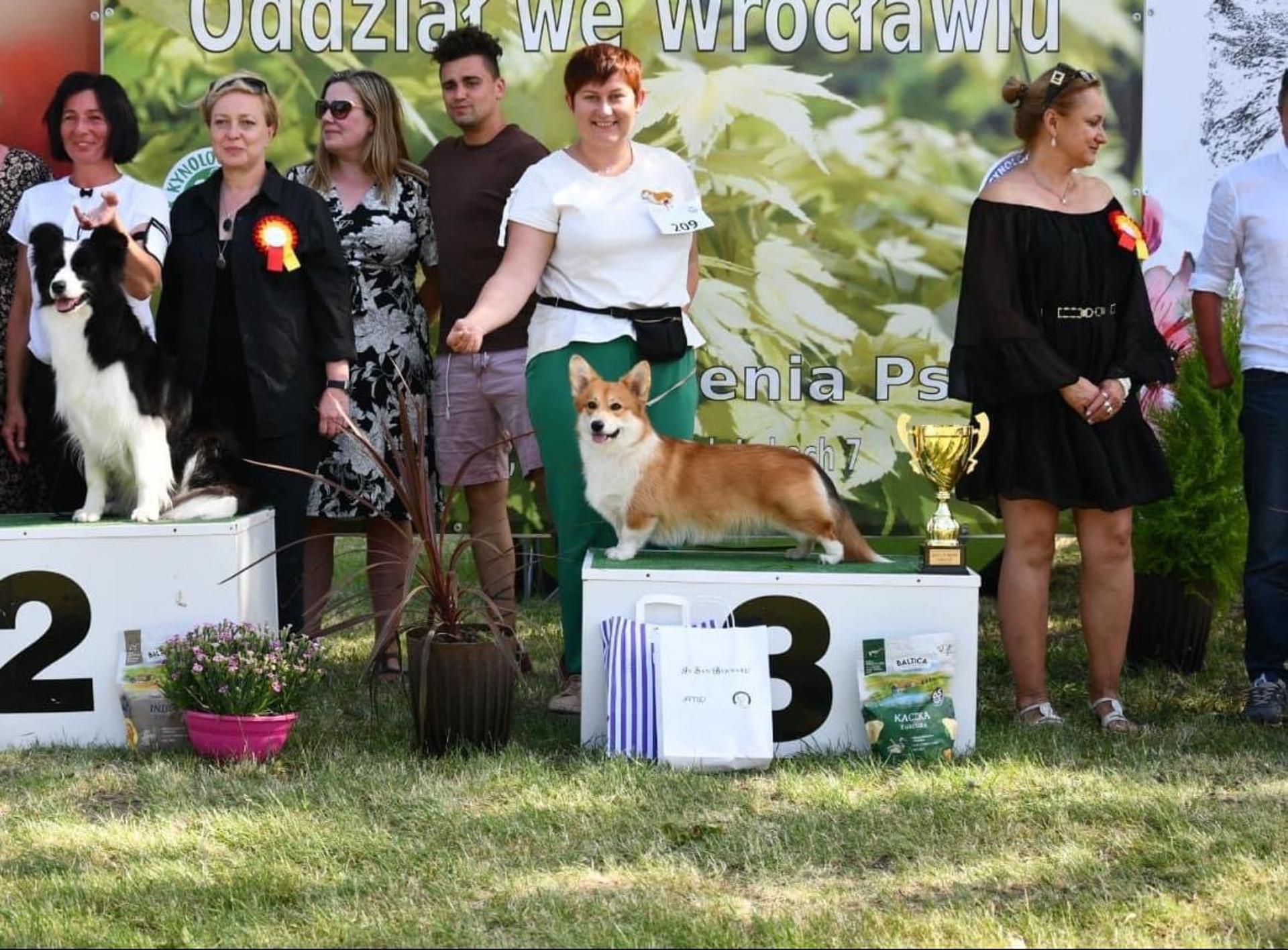 Zdjęcie 6