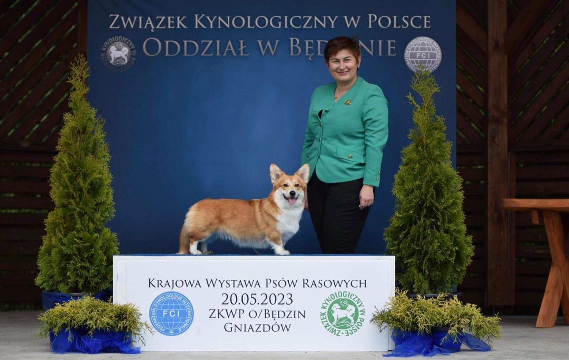 Zdjęcie 6