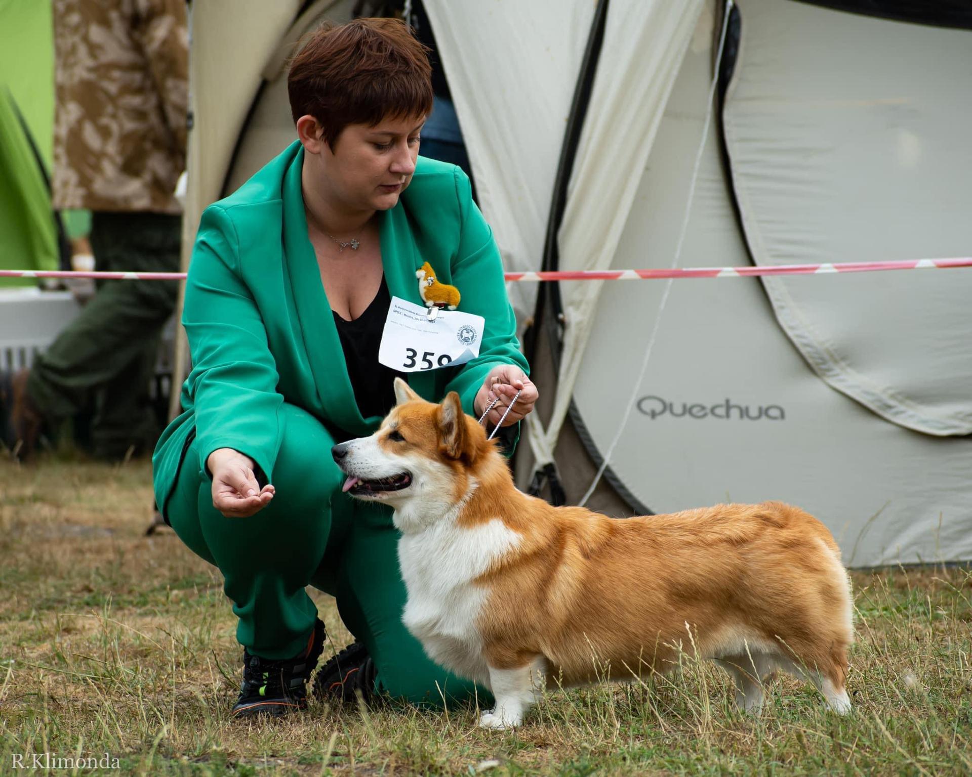 PÓJDŹKA KUSA Lisiura - PUCINKA